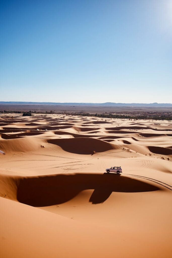 The Yatra Travels Jaisalmer